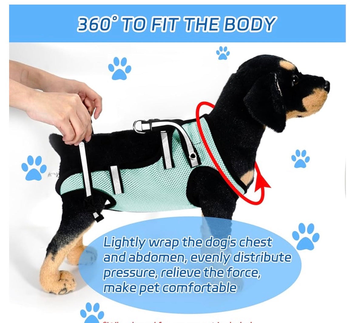 BECROWM Dog Wheelchair for Back Legs Adjustable Dog Wheelchairs with 2 Wheels Pet Doggy Wheelchairs with Disabled Hind Legs Walking-Dog Leg Brace and Hip Support Light Weight (S)
