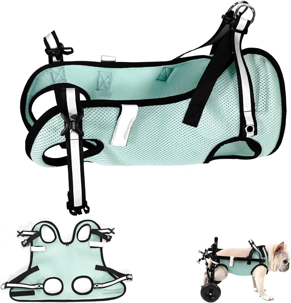 BECROWM Dog Wheelchair for Back Legs Adjustable Dog Wheelchairs with 2 Wheels Pet Doggy Wheelchairs with Disabled Hind Legs Walking-Dog Leg Brace and Hip Support Light Weight (S)