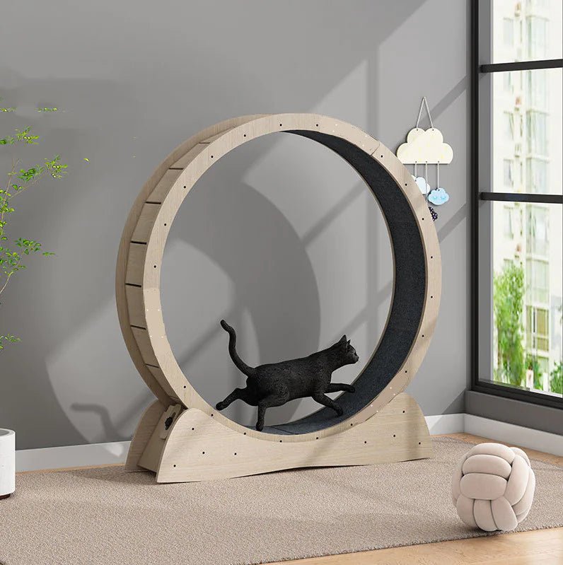 Cat Exercise Treadmill Roller - Shaikat And Zuthi’s Tech Ideas
