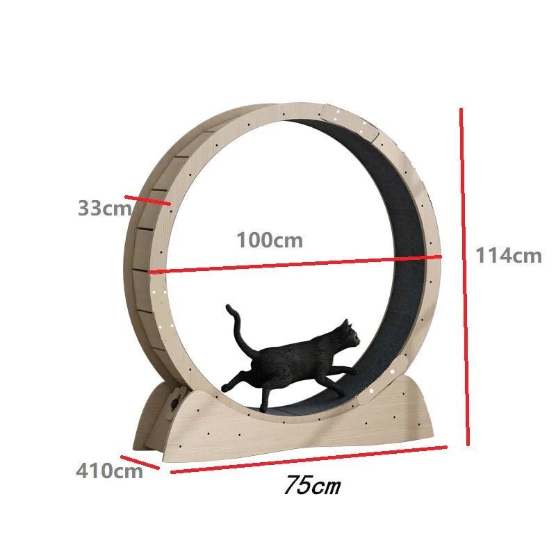 Cat Exercise Treadmill Roller - Shaikat And Zuthi’s Tech Ideas