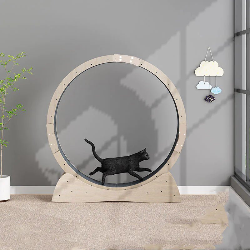 Cat Exercise Treadmill Roller - Shaikat And Zuthi’s Tech Ideas