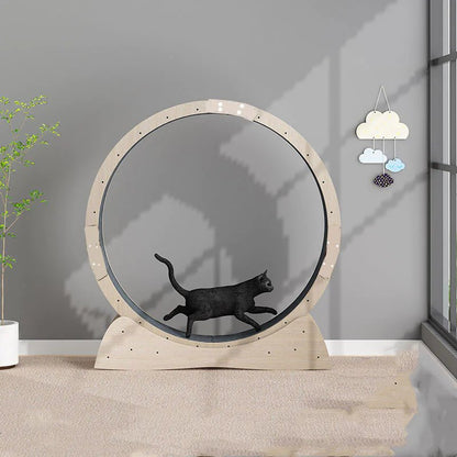 Cat Exercise Treadmill Roller - Shaikat And Zuthi’s Tech Ideas