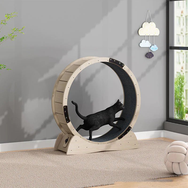 Cat Exercise Treadmill Roller - Shaikat And Zuthi’s Tech Ideas