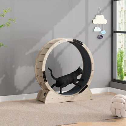 Cat Exercise Treadmill Roller - Shaikat And Zuthi’s Tech Ideas