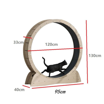Cat Exercise Treadmill Roller - Shaikat And Zuthi’s Tech Ideas