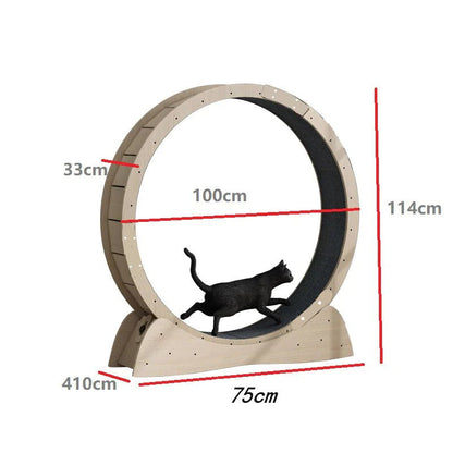 Cat Exercise Treadmill Roller - Shaikat And Zuthi’s Tech Ideas