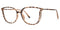 Tortoise / Clear