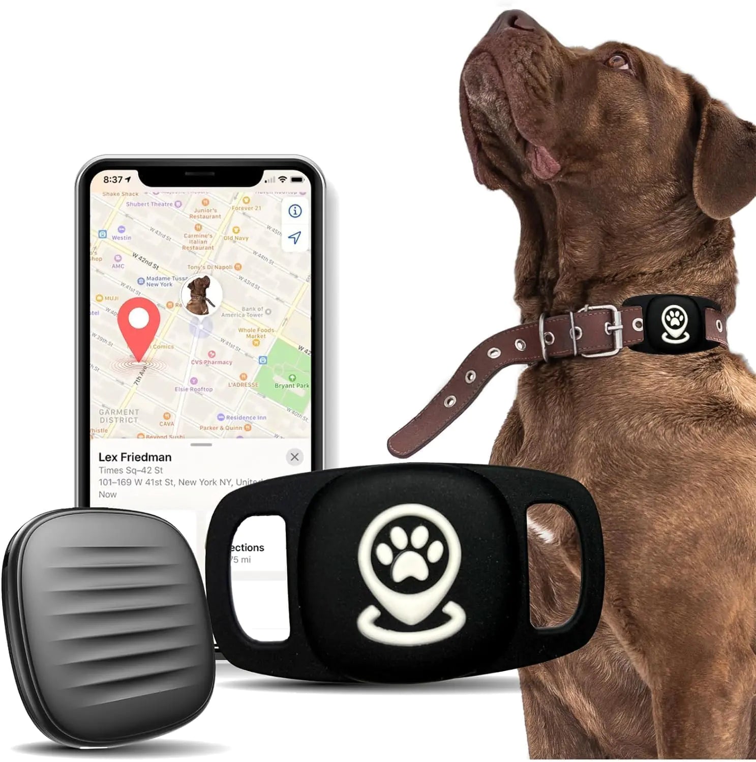 Dog Tracker Smart Pet Location Tracker with Collar Holder Personalized Smart Item Finder MFi Certificated Dog Tracking Device No Monthly Fee Works with Find My (iOS Only) Not a GPS Tracker - Shaikat And Zuthi’s Tech Ideas