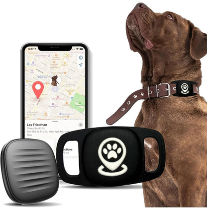 Dog Tracker Smart Pet Location Tracker with Collar Holder Personalized Smart Item Finder MFi Certificated Dog Tracking Device No Monthly Fee Works with Find My (iOS Only) Not a GPS Tracker - Shaikat And Zuthi’s Tech Ideas
